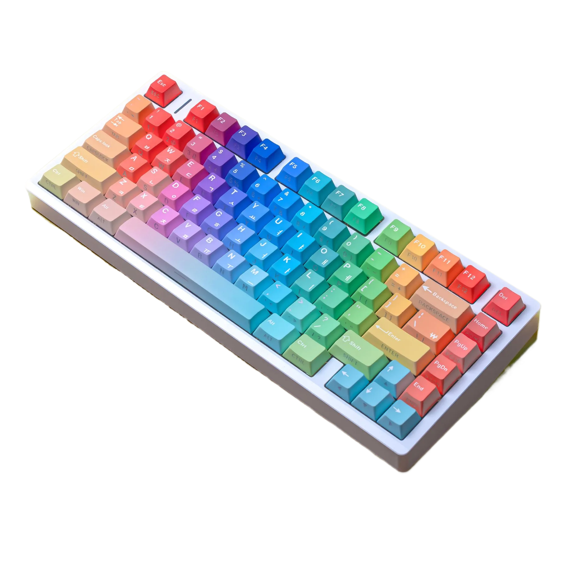 Group Buy Dye Sublimation DoubleShot Translucent PBT Keycap Set – Multi-Language Wooting